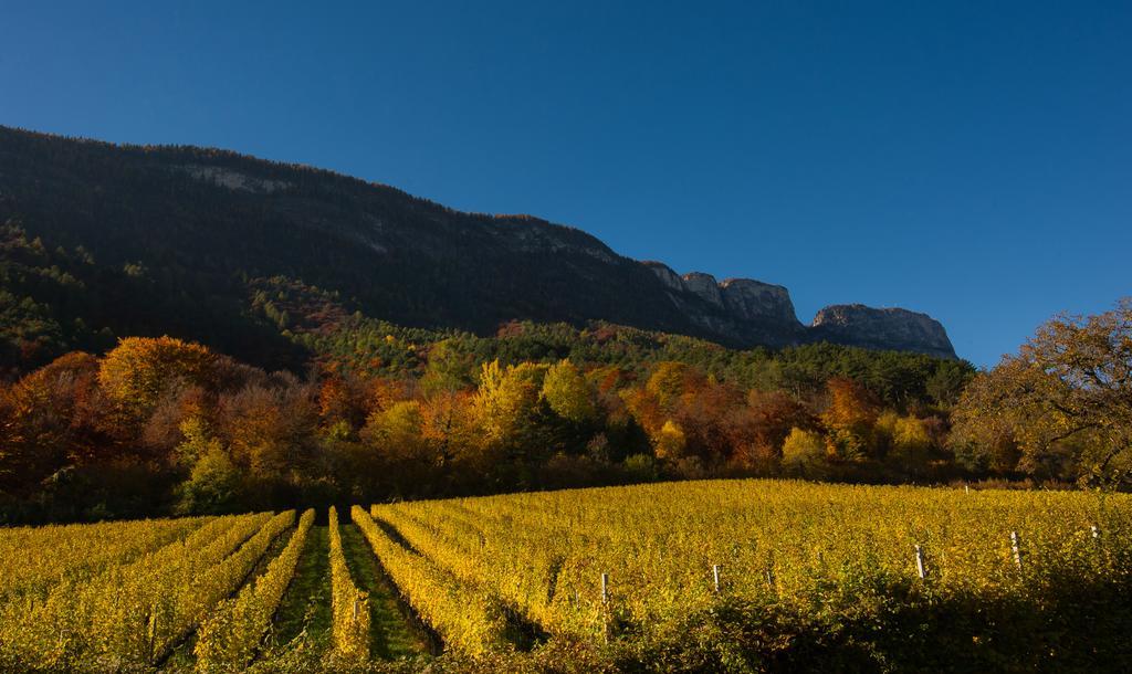Weingut Wolkanhof Appiano Sulla Strada Del Vino Exteriér fotografie