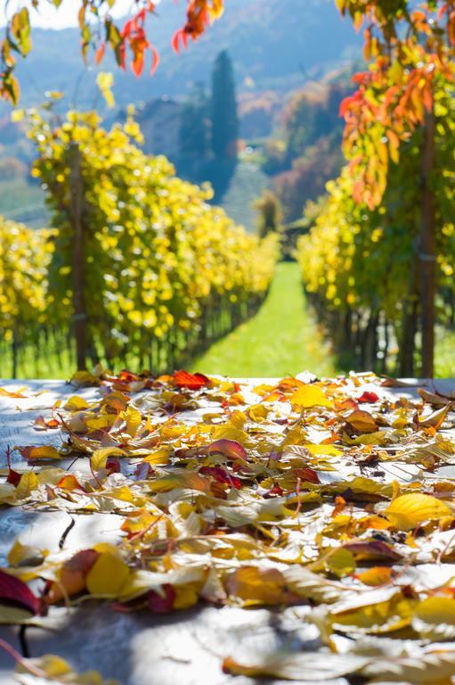 Weingut Wolkanhof Appiano Sulla Strada Del Vino Exteriér fotografie