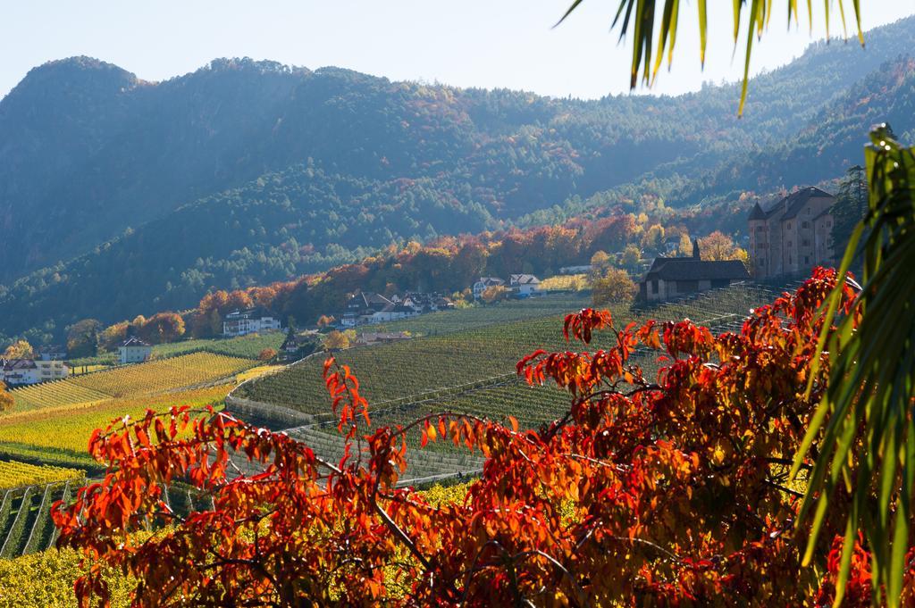 Weingut Wolkanhof Appiano Sulla Strada Del Vino Exteriér fotografie