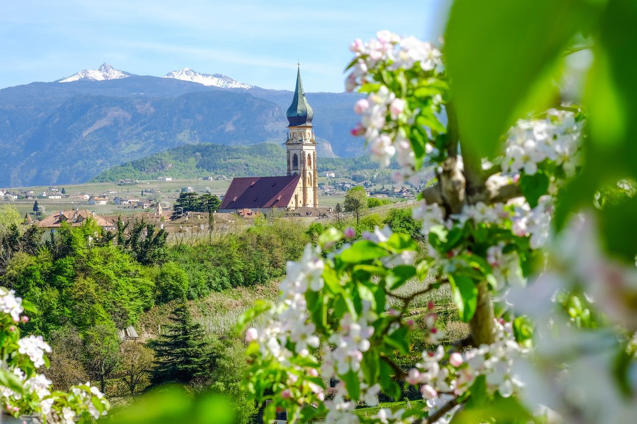 Weingut Wolkanhof Appiano Sulla Strada Del Vino Exteriér fotografie