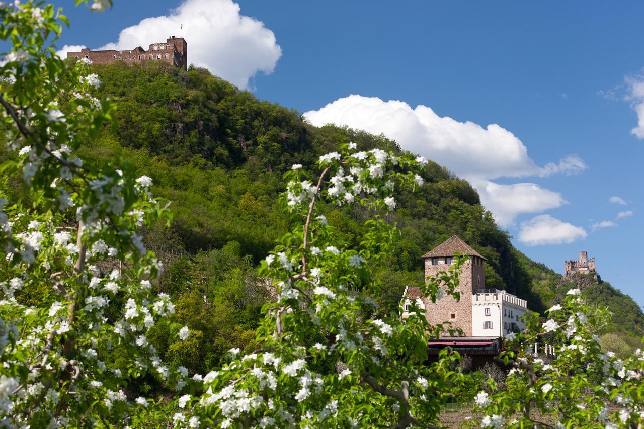 Weingut Wolkanhof Appiano Sulla Strada Del Vino Exteriér fotografie